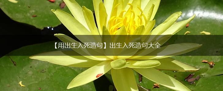 【用出生入死造句】出生入死造句大全,第1张