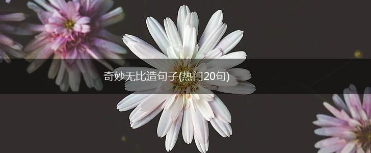 奇妙无比造句子(热门20句),第1张