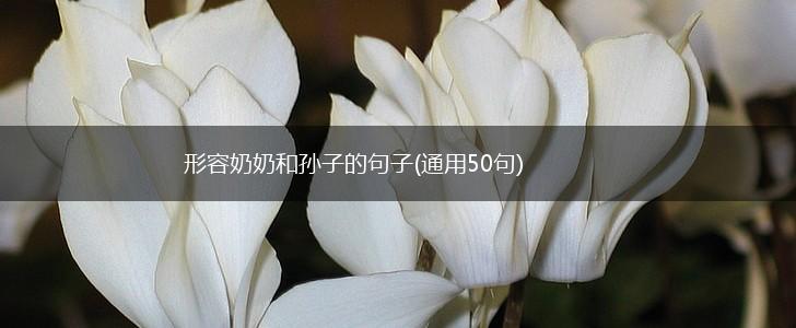 形容奶奶和孙子的句子(通用50句),第1张