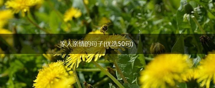 家人亲情的句子(优选50句),第1张