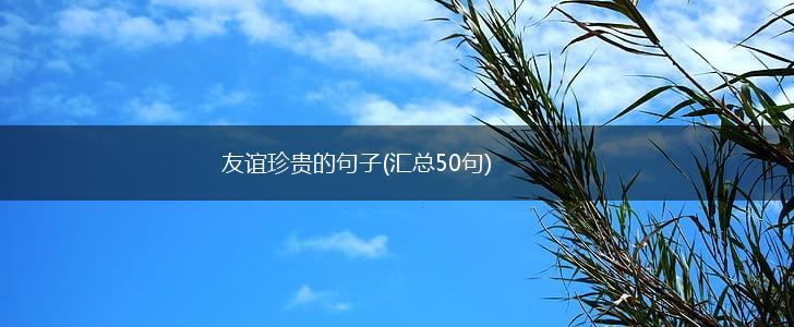 友谊珍贵的句子(汇总50句),第1张