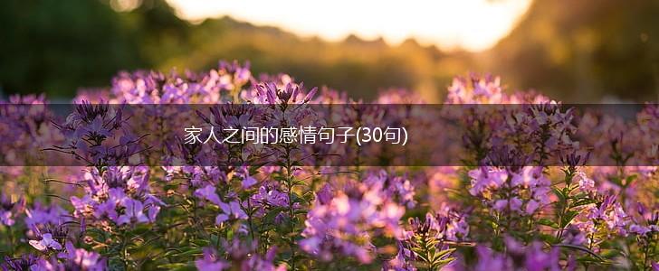 家人之间的感情句子(30句),第1张