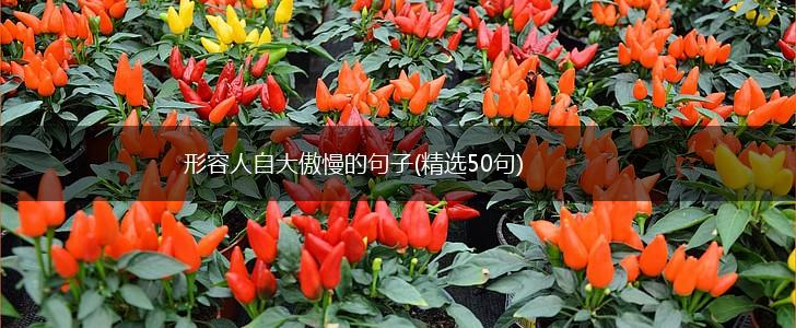 形容人自大傲慢的句子(精选50句),第1张