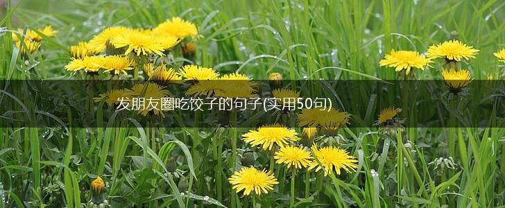 发朋友圈吃饺子的句子(实用50句),第1张