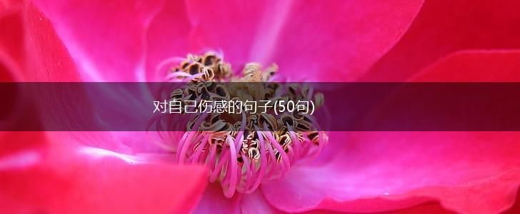 对自己伤感的句子(50句),第1张