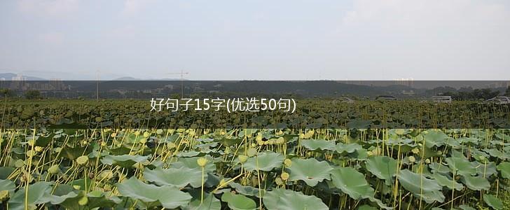 好句子15字(优选50句),第1张