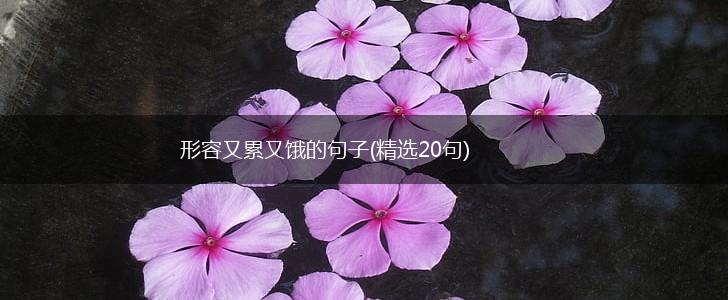 形容又累又饿的句子(精选20句),第1张