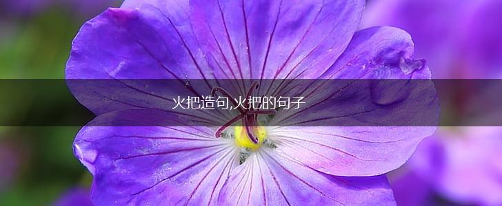 火把造句,火把的句子,第1张 火把造句,火把的句子,第1张