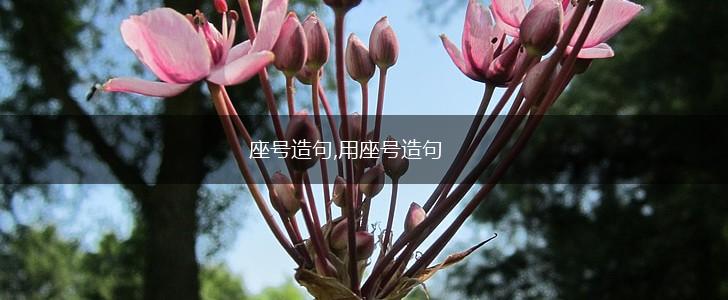 座号造句,用座号造句,第1张
