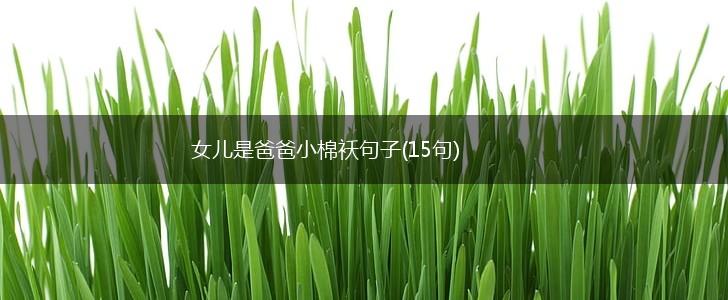 女儿是爸爸小棉袄句子(15句),第1张