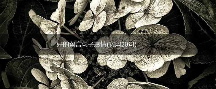 好的留言句子感情(实用20句),第1张