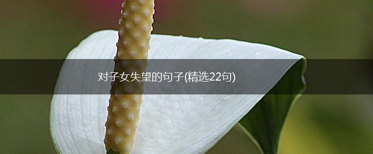 对子女失望的句子(精选22句),第1张