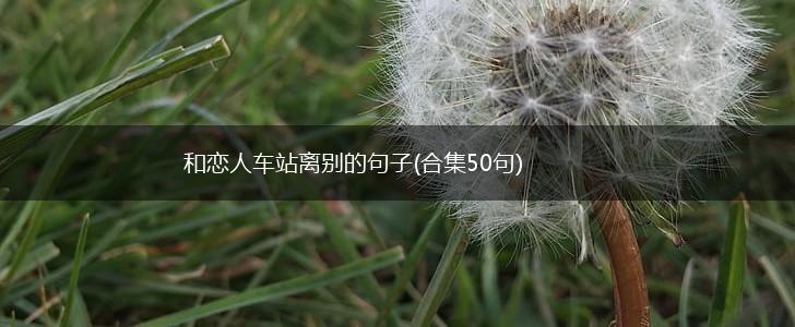 和恋人车站离别的句子(合集50句),第1张