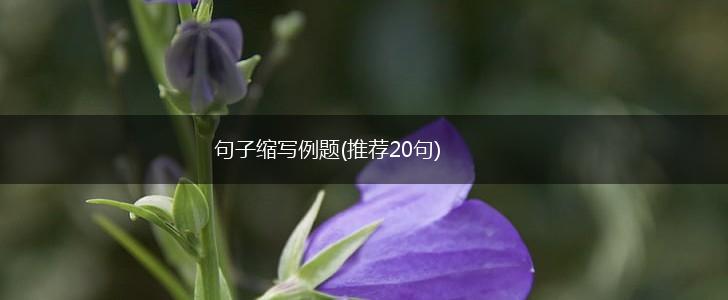 句子缩写例题(推荐20句),第1张