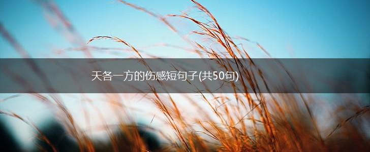 天各一方的伤感短句子(共50句),第1张
