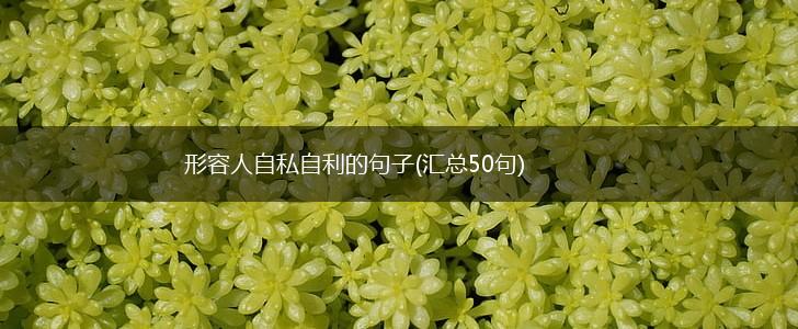 形容人自私自利的句子(汇总50句),第1张