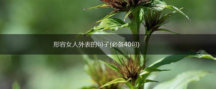 形容女人外表的句子(必备40句),第1张