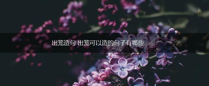 出笼造句 出笼可以造的句子有哪些,第1张