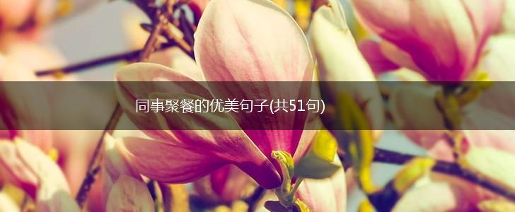 同事聚餐的优美句子(共51句),第1张