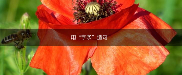 用“字条”造句,第1张