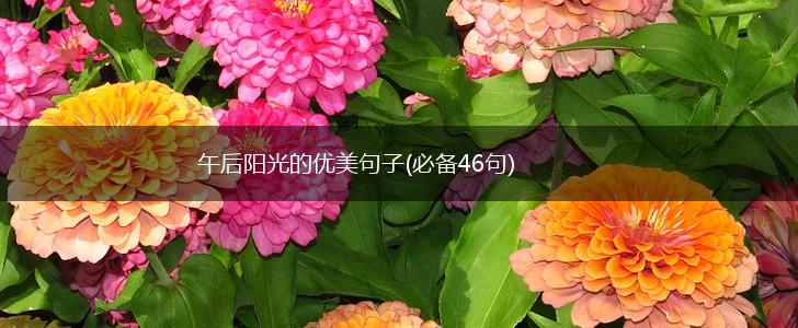 午后阳光的优美句子(必备46句),第1张