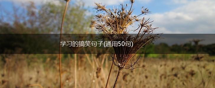 学习的搞笑句子(通用50句),第1张