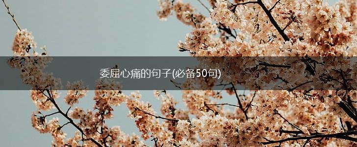 委屈心痛的句子(必备50句),第1张