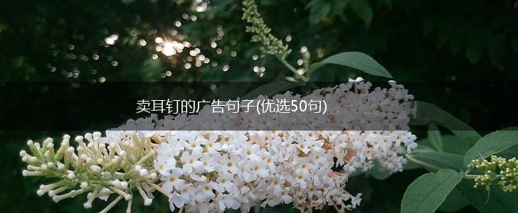 卖耳钉的广告句子(优选50句),第1张