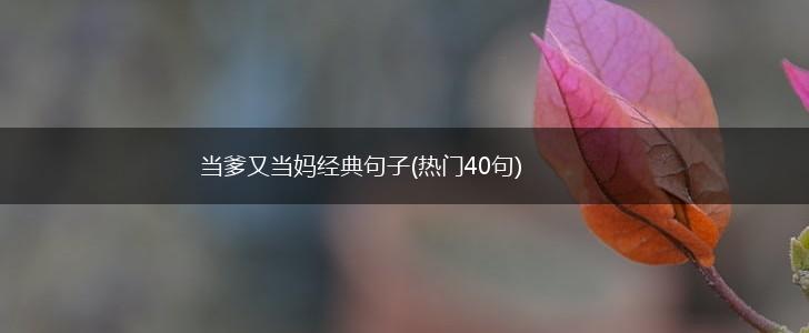 当爹又当妈经典句子(热门40句),第1张