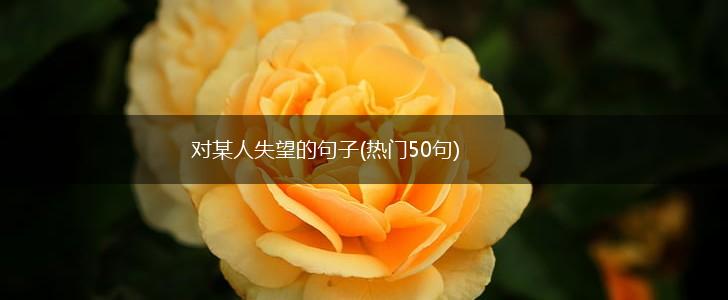 对某人失望的句子(热门50句),第1张