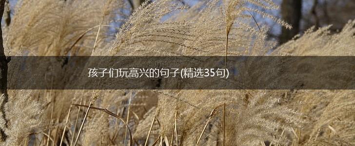 孩子们玩高兴的句子(精选35句),第1张