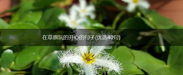 在草原玩的开心的句子(优选40句),第1张