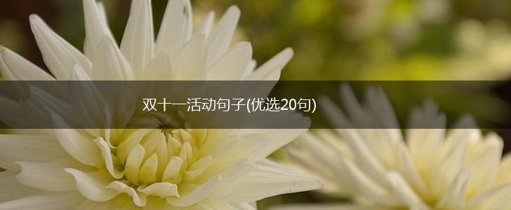 双十一活动句子(优选20句),第1张