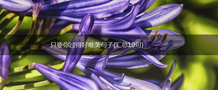 只要你过得好唯美句子(汇总10句),第1张