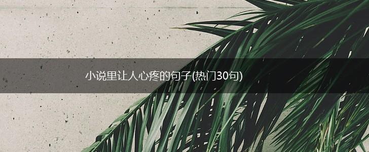 小说里让人心疼的句子(热门30句),第1张