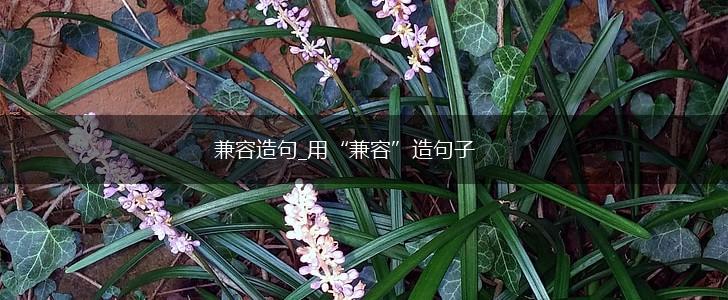 兼容造句_用“兼容”造句子,第1张 兼容造句_用“兼容”造句子,第1张