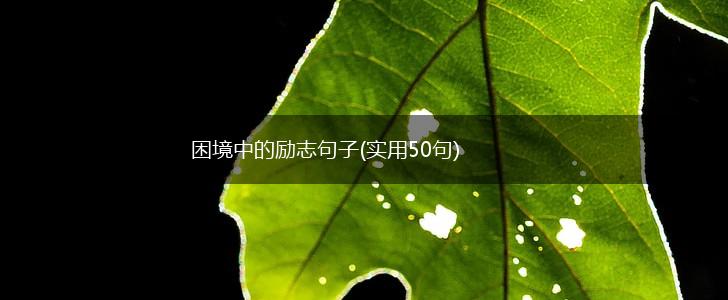 困境中的励志句子(实用50句),第1张