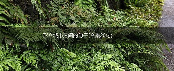 形容城市热闹的句子(合集20句),第1张