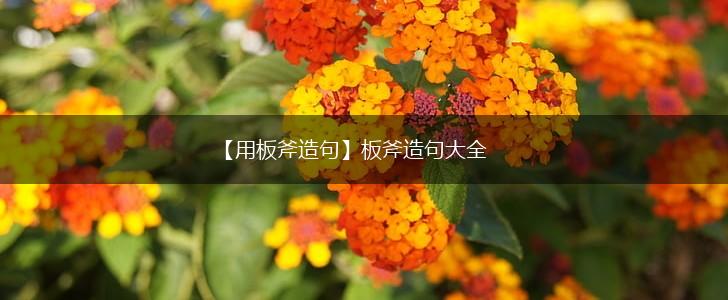 【用板斧造句】板斧造句大全,第1张