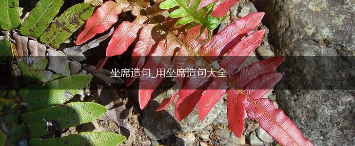 坐席造句_用坐席造句大全,第1张