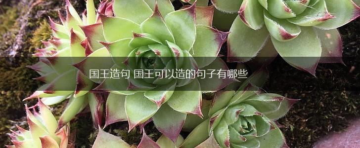 国王造句 国王可以造的句子有哪些,第1张 国王造句 国王可以造的句子有哪些,第1张