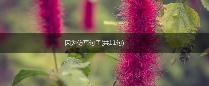 因为仿写句子(共11句),第1张