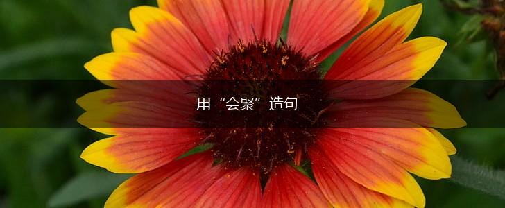 用“会聚”造句,第1张 用“会聚”造句,第1张