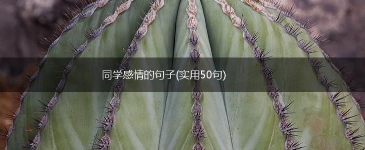 同学感情的句子(实用50句),第1张