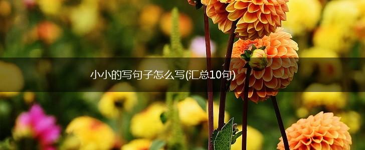 小小的写句子怎么写(汇总10句),第1张
