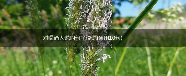对喝酒人说的句子说说(通用10句),第1张