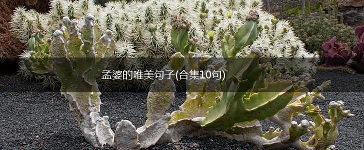 孟婆的唯美句子(合集10句),第1张