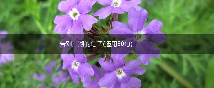 告别江湖的句子(通用50句),第1张