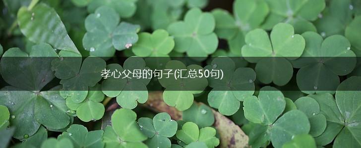 孝心父母的句子(汇总50句),第1张