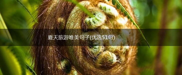 夏天旅游唯美句子(优选51句),第1张